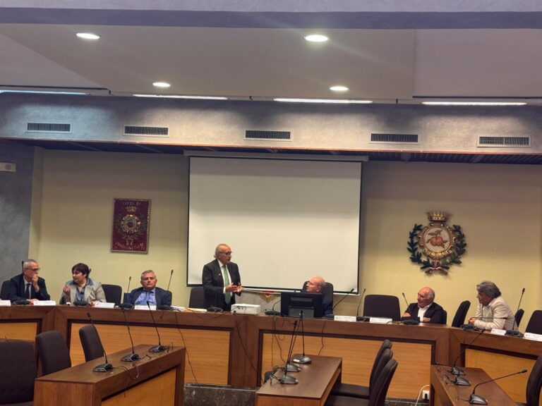 A Pomigliano tavolo dei sindaci dell’area per strategie comuni contro polveri sottili