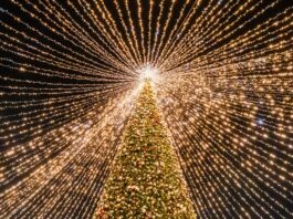 Sant'Antonio Abate, sabato l'inaugurazione della “Città del Natale”: programma, orari e costi del villaggio Xmas80057