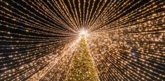 Sant'Antonio Abate, sabato l'inaugurazione della “Città del Natale”: programma, orari e costi del villaggio Xmas80057