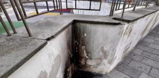 Orrore a Sant'Antonio Abate, gatto bruciato vivo. Il Sindaco: “Siamo a un passo dai colpevoli”