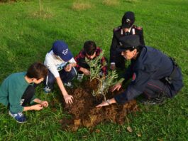 Pianura, giornata nazionale degli alberi 2024 nell’istituto comprensivo di pianura