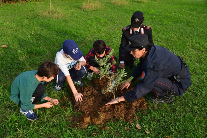 Pianura, giornata nazionale degli alberi 2024 nell’istituto comprensivo di pianura Pianura, giornata nazionale degli alberi 2024 nell’istituto comprensivo di pianura