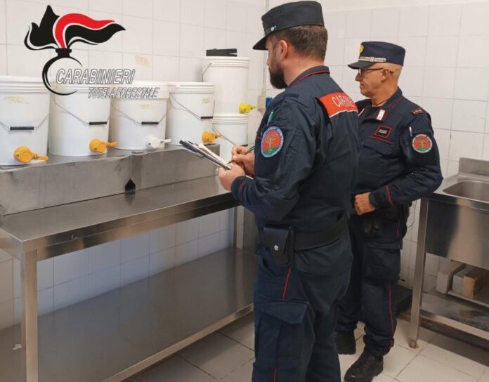 Carabinieri forestali controlli (2)