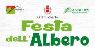 Festa dell’albero 2024: a Sorrento 92 nuove piante