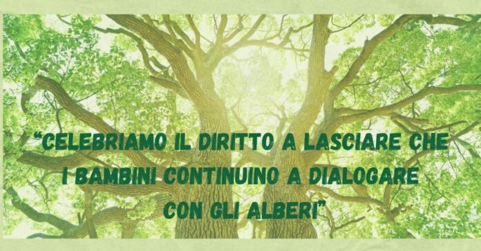 Festa Nazionale dell’Albero: un messaggio di speranza e responsabilità