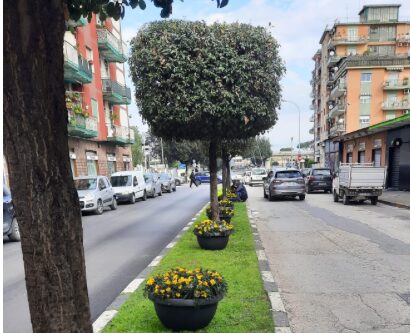 A Pomigliano al via il progetto “adotta un’area verde”. Iniziativa rivolta a cittadini, commercianti e aziende