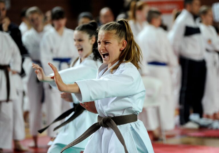 Domenica 3 novembre il PalaCercola partenopeo ospita il Campionato nazionale CSI di karate Domenica 3 novembre il PalaCercola partenopeo ospita il Campionato nazionale CSI di karate