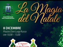 Pollena Trocchia, il giorno dell'immacolata partono gli eventi di natale in paese