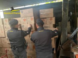 Botti illegali pericolosissimi ai clienti via pacco anonimo, maxi sequestro nel napoletano