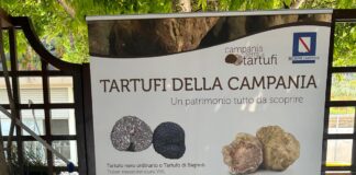 A Sorrento, una serata dedicata al tartufo campano