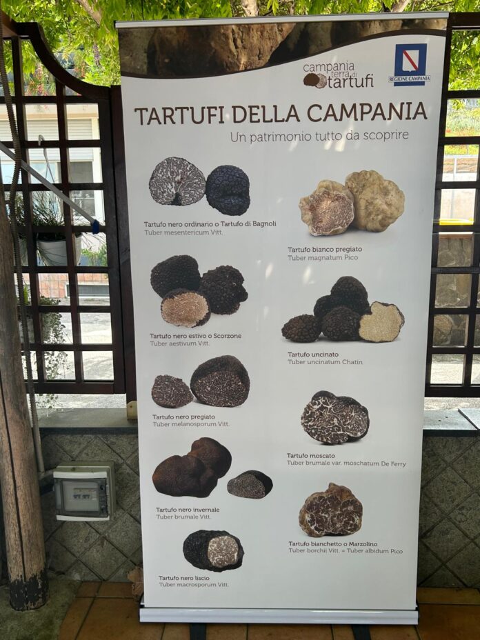A Sorrento, una serata dedicata al tartufo campano