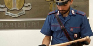 Casalnuovo: evade, prende a morsi un negoziante e spintona un carabiniere. Arrestato 24enne