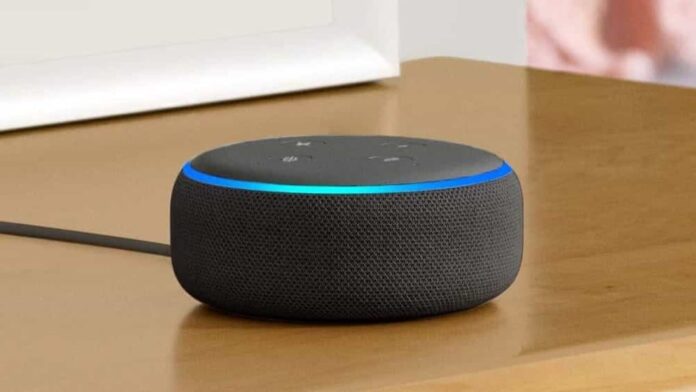 Alexa parla in dialetto, l'assistente vocale di Amazon festeggia la Giornata del dialetto con un tocco di colore locale