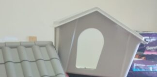 Torre del Greco: consegna di mangime e cucce per gatti e cani bisognosi