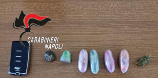 Agerola e Gragnano: ovuli in cucina, arrestato 31enne durante i controlli