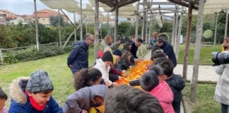 Sorrento: torna lo Spremuta Day, con l'arancia bionda sorrentina