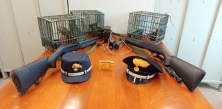 Campagna “Fauna Sicura 2025”, 746 controlli effettuati e 2 bracconieri arrestati nel Parco Nazionale del Vesuvio