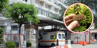Castellammare, bambino di due anni ingerisce hashish al parco: trasferito d’urgenza al Santobono Castellammare, bambino di due anni ingerisce hashish al parco: trasferito d’urgenza al Santobono