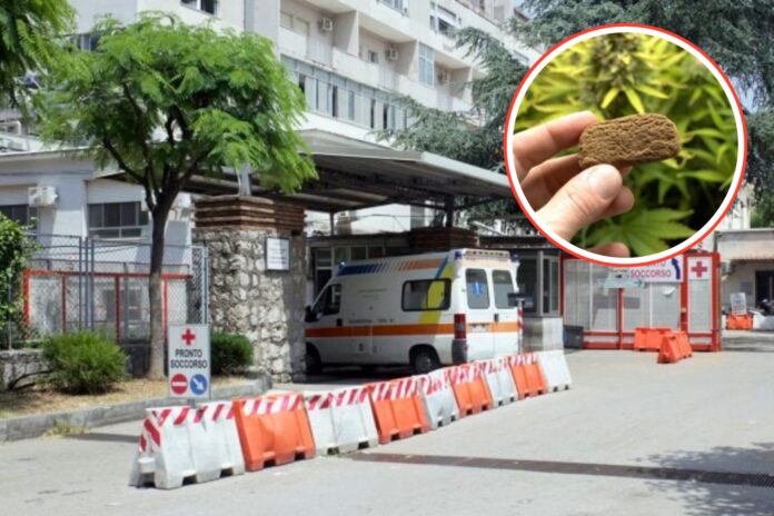 Castellammare, bambino di due anni ingerisce hashish al parco: trasferito d’urgenza al Santobono Castellammare, bambino di due anni ingerisce hashish al parco: trasferito d’urgenza al Santobono