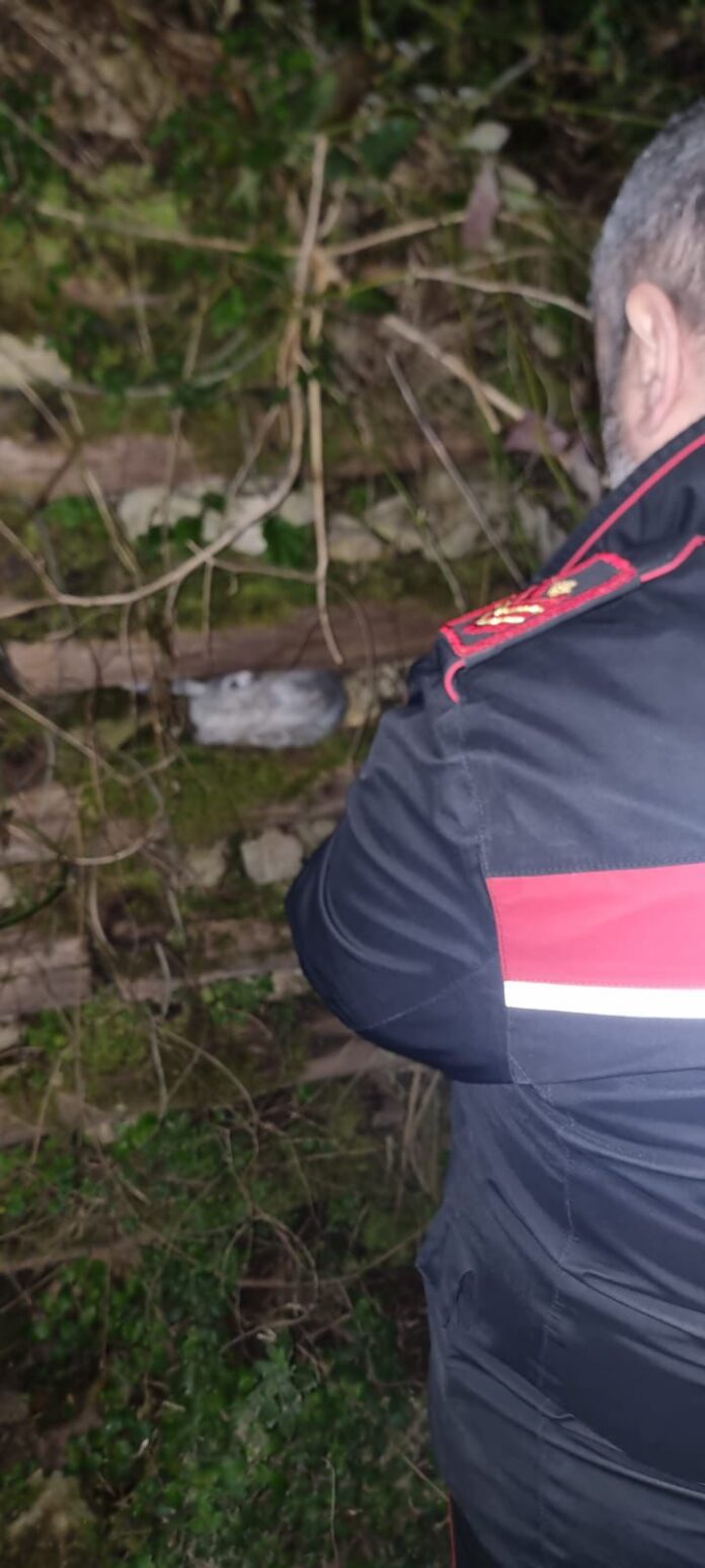 Castellammare di Stabia, Santa Maria la Carità e Agerola: controlli dei carabinieri durante la notte