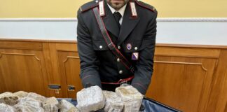 Napoli e Caserta, sequestrati 750 chili di droga: avrebbero fruttato 3 milioni