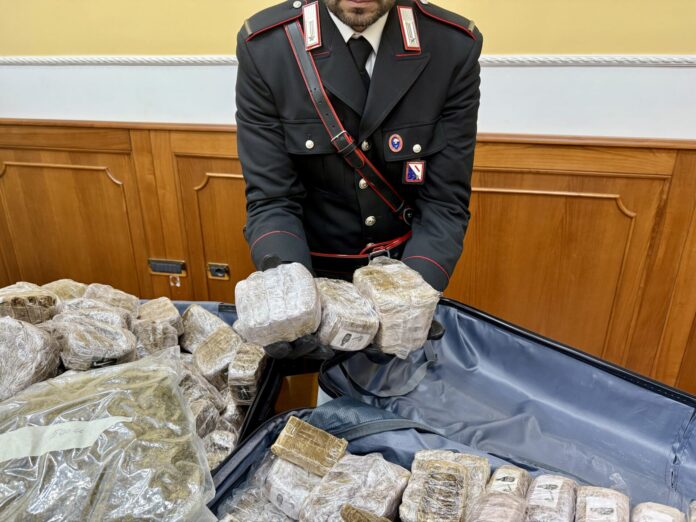 Napoli e Caserta, sequestrati 750 chili di droga: avrebbero fruttato 3 milioni
