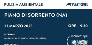 Giornata Ecologica, le iniziative a Piano di Sorrento Appuntamento ore 9:30 sulla banchina per raggiungere la spiaggia, dove verrà allestito un punto informativo Plastic Free; da lì i gruppi si divideranno per trascorre due ore insieme prendendosi cura dell'Ambiente. I ringraziamenti vanno a tutte le Associazioni che hanno aderito all'iniziativa, le attività di Marina di Cassano che hanno collaborato alla stessa e le aziende che hanno voluto sostenerla. Per la Giornata Ecologica sono attesi tutti, grandi e piccini. Per i più piccoli, grazie ad alcuni giovani del servizio civile, alle associazioni Mare Vivo e AYFE, sullo stabilimento dei Bagni Nettuno ci saranno delle attività di educazione ambientale e riciclo. L'organizzazione raccomanda a tutti a tutti di iscriversi all'iniziativa tramite il QR Code in locandina.