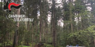 Ventuno marzo giornata internazionale delle foreste
