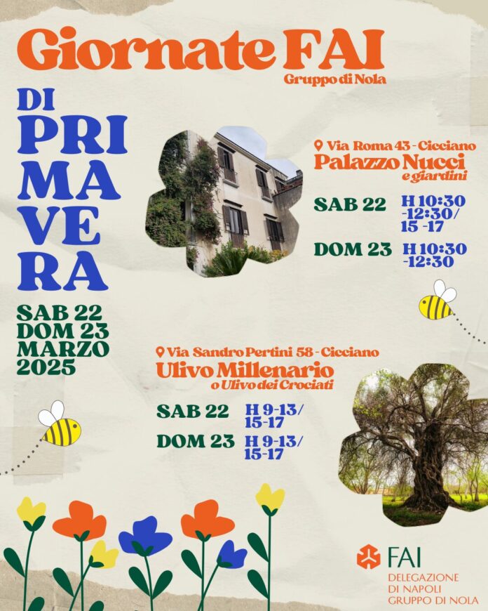 Giornate FAI di Primavera 2025: il Gruppo FAI di Nola apre Palazzo Nucci e l’Ulivo Millenario a Cicciano