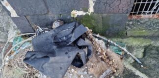 Sorrento: rifiuti accidentalmente pescati in mare, accordo tra Comune, Penisolaverde e pescatori