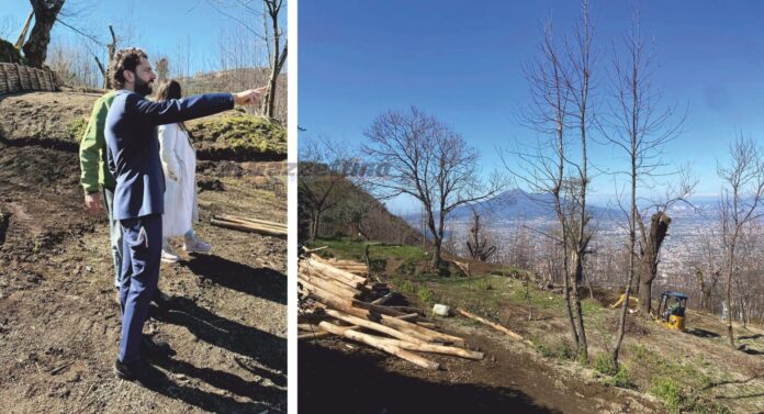 Pimonte Parco Belvedere