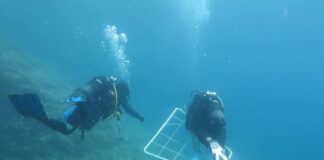 Conoscere e studiare gli habitat sommersi, in estate il nuovo Corso di Biologia Marina a Punta Campanella