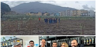 Pollena Trocchia, assessorato a pubblica istruzione ed eventi promuovono visita guidata ad oleificio del territorio