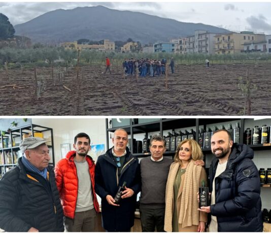 Pollena Trocchia, assessorato a pubblica istruzione ed eventi promuovono visita guidata ad oleificio del territorio