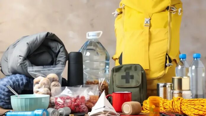 L'Unione Europea si prepara alle emergenze: cosa è la "borsa della resilienza"?