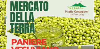 Mercato della terra Boscoreale-protagonista il pisello "Centogiorni"