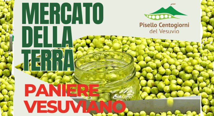 Mercato della terra Boscoreale-protagonista il pisello "Centogiorni"