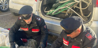 Santa Maria la Carità: in fuga dai Carabinieri, lanciano una gabbia di canarini dall’auto