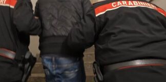 Ercolano: in casa 4 pitbull, scattano i controlli dei carabinieri. Nella cappella votiva anche la droga, arrestato