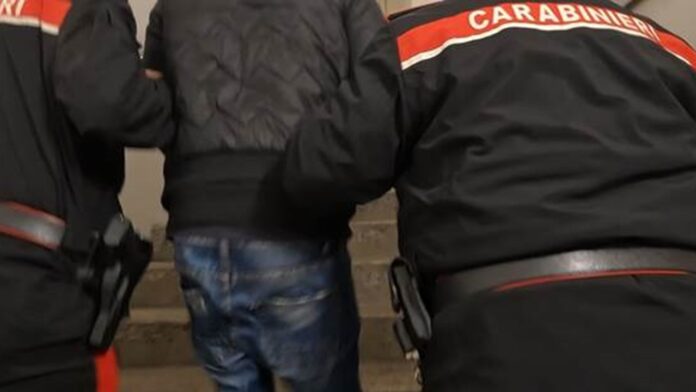 Ercolano: in casa 4 pitbull, scattano i controlli dei carabinieri. Nella cappella votiva anche la droga, arrestato