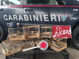 Lega Italiana Protezione Uccelli, Servizio Nazionale Vigilanza per la tutela del patrimonio faunistico e naturale dello Stato