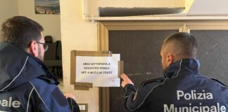 Macellazione abusiva di cinghiali a Pomigliano d'Arco