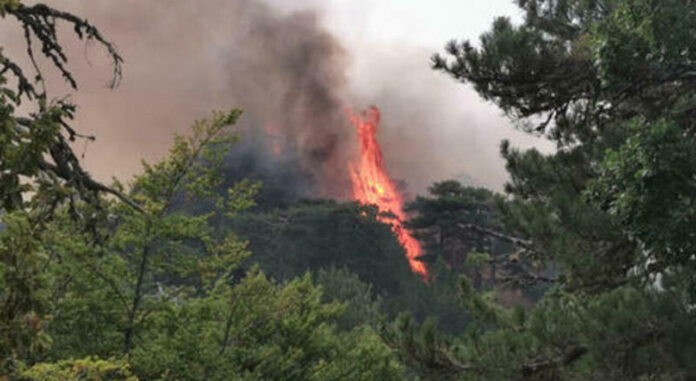 Afragola, appicca incendi in Contrada Ferrarese: arrestato 35enne algerino