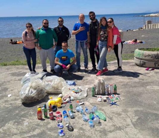 Nuovo polo ambiente Vesuvio