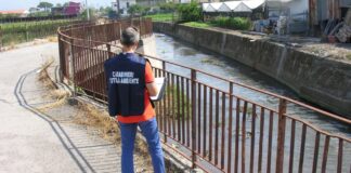 Scafati, area del Demanio occupata da industria conserviera: scatta il maxi sequestro