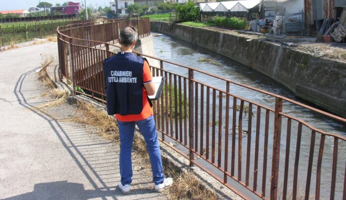 Scafati, area del Demanio occupata da industria conserviera: scatta il maxi sequestro
