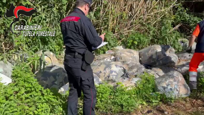 Rifiuti illeciti tra Napoli e Caserta: due sequestri e denunce dei Carabinieri Forestali