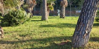 Torre Annunziata, approvato il regolamento sulle aree verdi