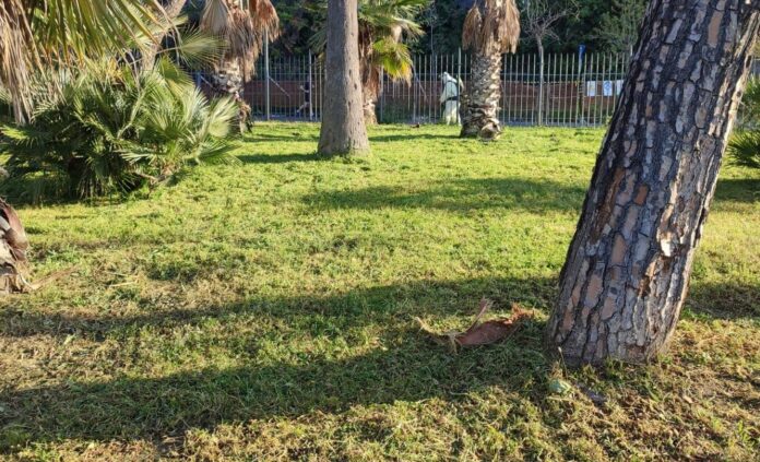 Torre Annunziata, approvato il regolamento sulle aree verdi