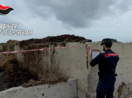 Letame nel Lago Patria: maxi sequestro a Giugliano, denunciato allevatore